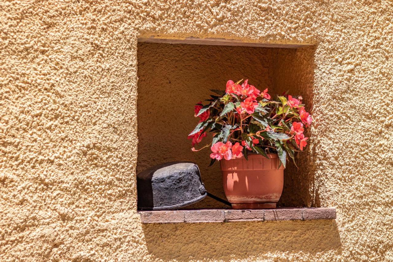 Apartament casa vacanze zia Lucia Sarconi Zewnętrze zdjęcie